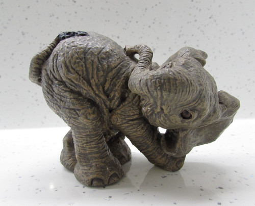 The herd elephant - the,