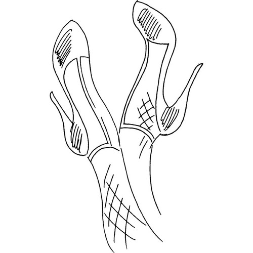Ladies shoes unmounted - shoes',