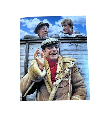 Only fools and horses david - and,