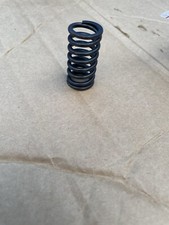 JINLUN JI125-11 Valve Spring