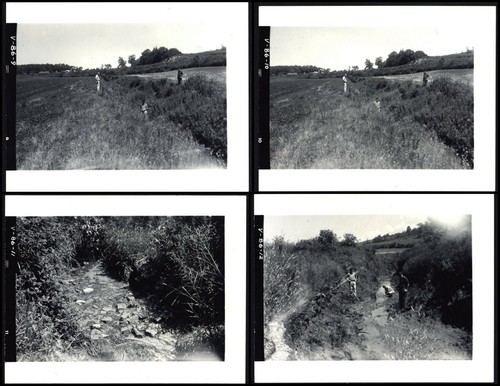 Gates farm 4 vintage - -,