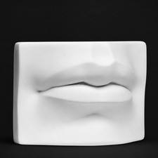 David's Mouth Plaster Cast