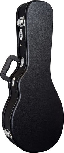 Standard style mandolin case - style,
