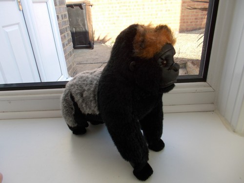 Rare pia holland schijndel - rare,