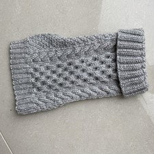 Teacup Chihuahua/ Yorkie Dog