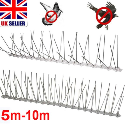 10m pigeon bird - bird, spikes