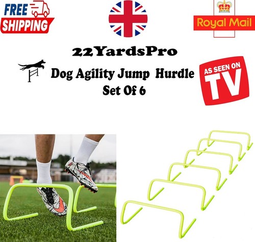 Dog agility hurdle - agility,