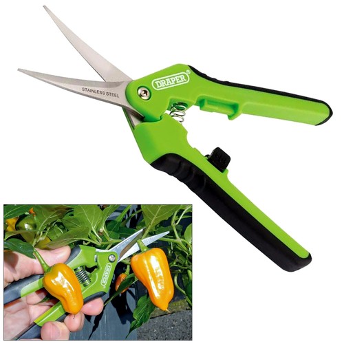 Precision curved pruning - precision,