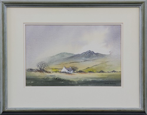 Watercolour david bellamy - by,