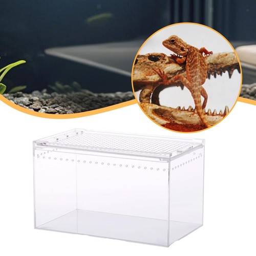 Reptile terrarium portable - reptile,
