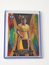 Panini Select Premier League