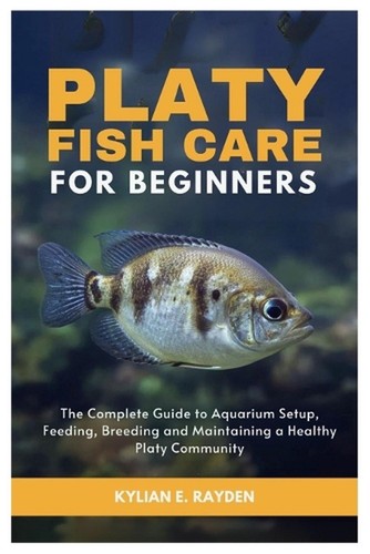 Platy fish care for beginners - fish,