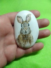 Pebbles hand painted Bunny