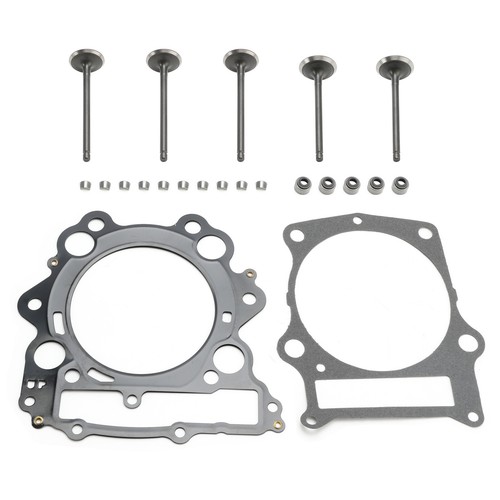 Cylinder head valves seals - head,