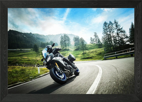 Yamaha tracer 900 framed wall - tracer,