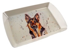 Melamine Plastic 23x16cm Snack