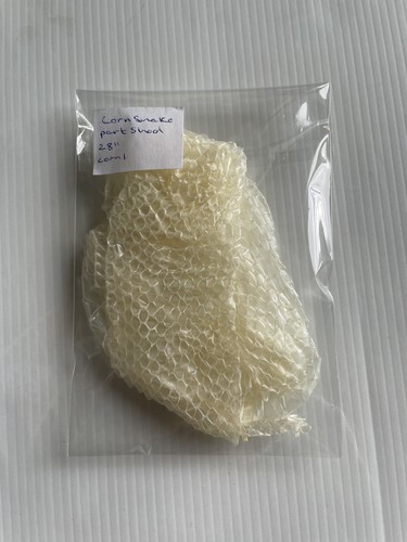 Part adult corn - adult,