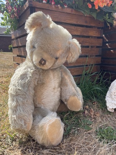 Teddy bear old hamiro - hamiro, vintage