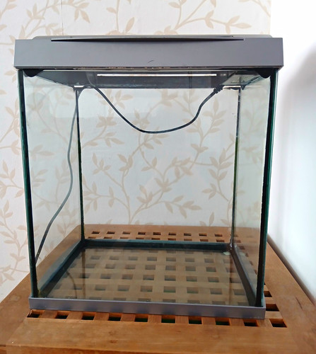 Glass aquarium tank with - tank, hood
