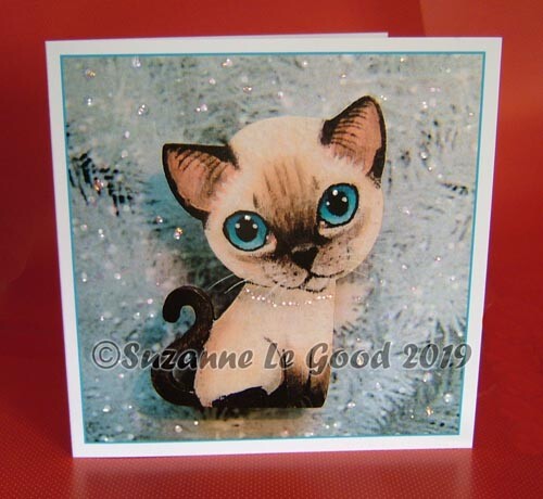 Siamese cat kitten - siamese,