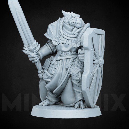 Dragon paladin fantasy - dragon, ||