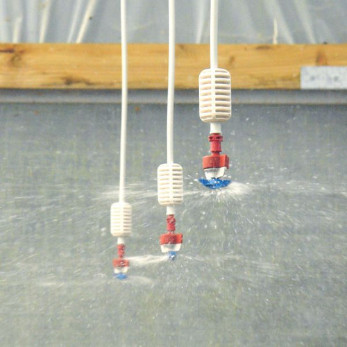 Polytunnel overhead sprinkler - polytunnel,
