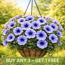 Petunia Seeds | grandiflora F1