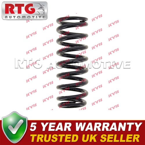 Rear suspension coil - rear,