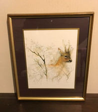 Mads Stage Vintage print of Fallow Buck. Danish retro Scandi art.