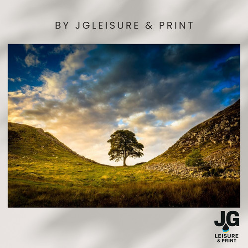 Sycamore gap picture wall - sycamore,