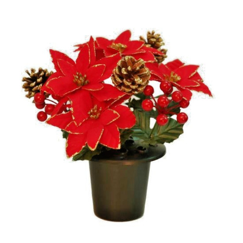 Christmas red berry - red,