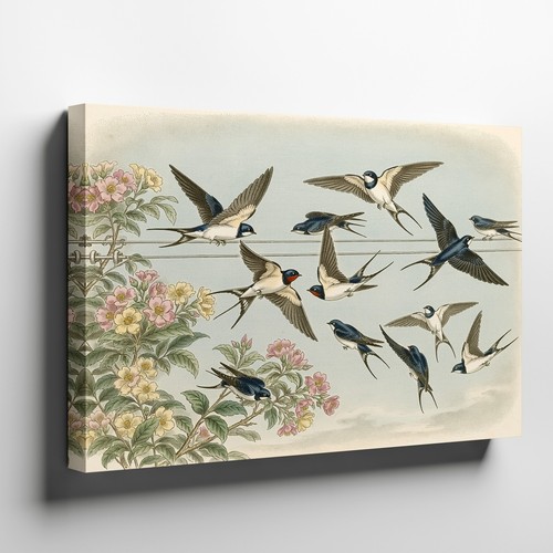 Vintage swallows birds flying - vintage,