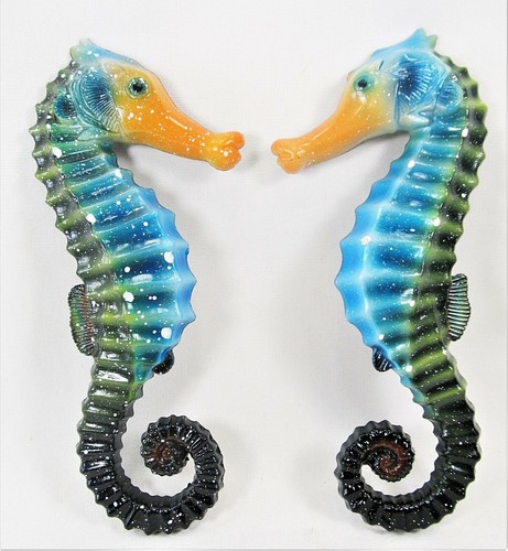 Sea horse tropical - sea,