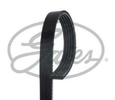 Original Gates V-Ribbed Belt
