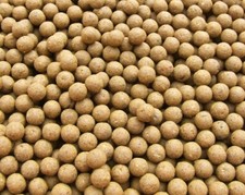 Pineapple Shelflife Fishmeal