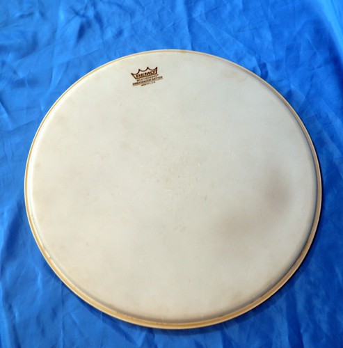 Remo ambassador batter - batter, coated