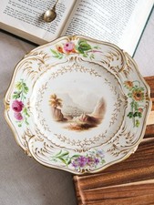 Antique H&R Daniel Sevres Chelsea flower  Landscape Porcelain Cabinet Plate
