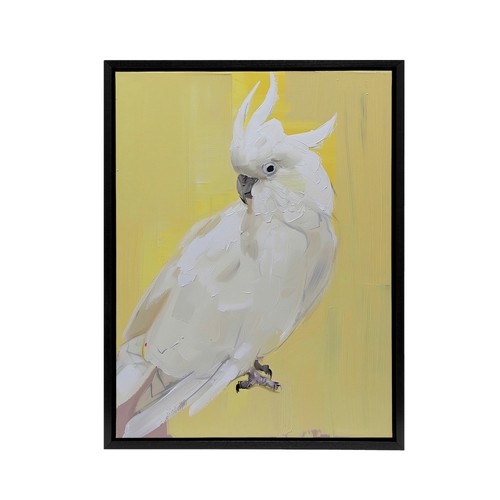 White cockatoo parrot bird - parrot,