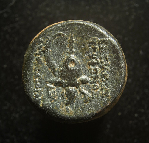 Ancient greek seleukid kingdom - greek,