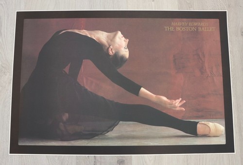 Harvey edwards lithograph - edwards,