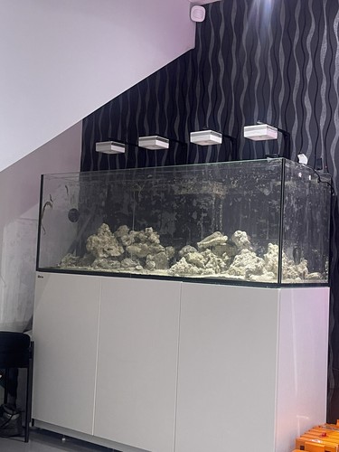 Popbloom rl90 led - popbloom,