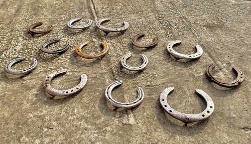 Authentic used horseshoes from - horseshoes,