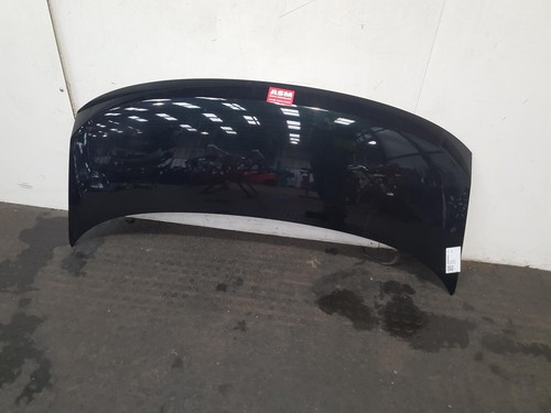 Nissan elgrand bonnet 2007 - nissan,