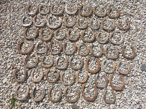 Used horse shoes old - shoes,