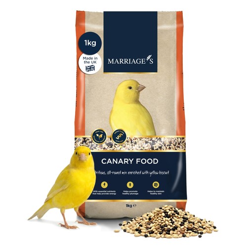 Marriages canary food - marriages,