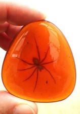 Large amber resin cabochon