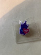 Alton Towers 2025 Employee Pin
