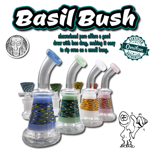 Glass mini percolator water - glass,