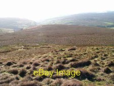 Photo 6x4 Black Moor  in East