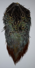 Cock Pheasant Rump Cape (32)